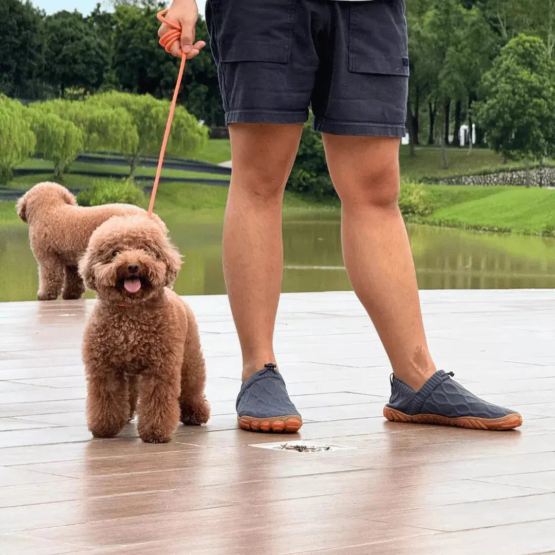 Alex | Slip-On Sneakers for All-Day Comfort 4